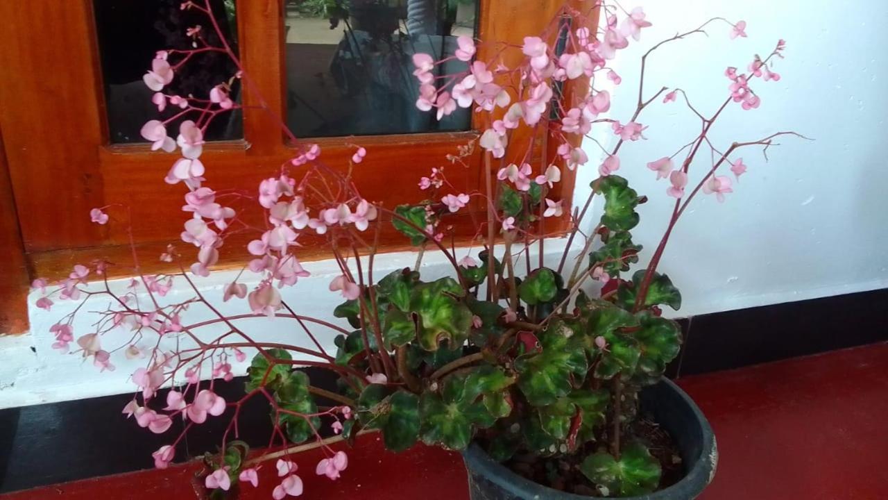 Secret Nest Homestay Ella Exterior foto