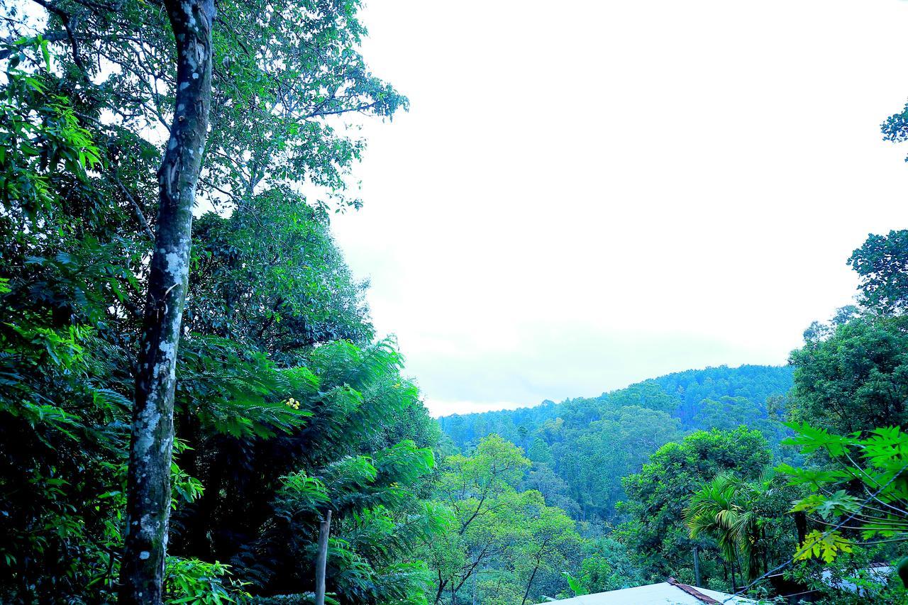 Secret Nest Homestay Ella Exterior foto