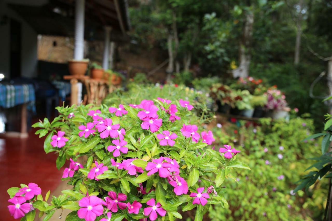 Secret Nest Homestay Ella Exterior foto